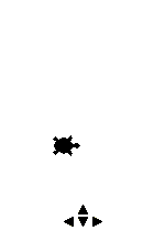 Sterowanie żółwiem.